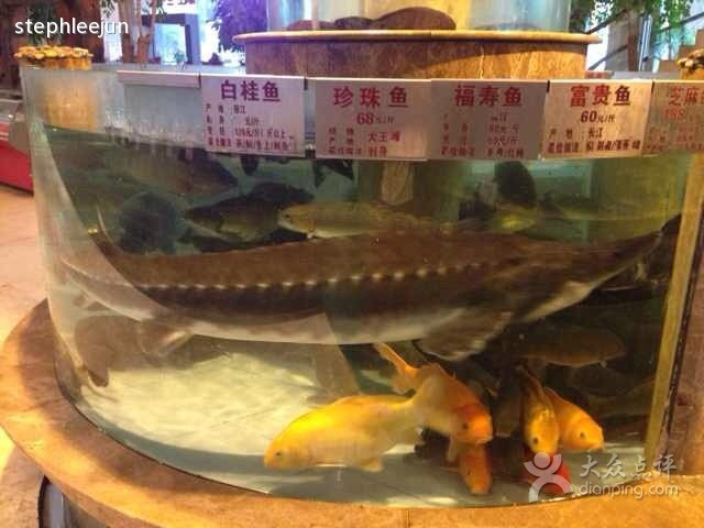 江河百鱼庄(高新店)