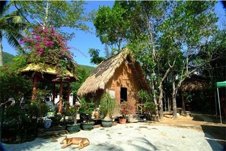 田独新村农家乐