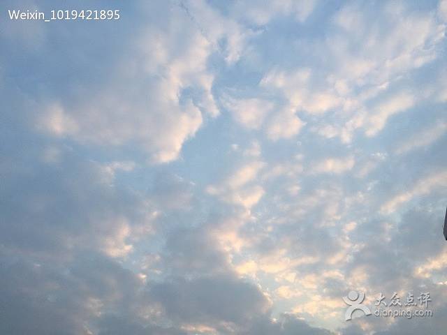 真功夫(百佳店)