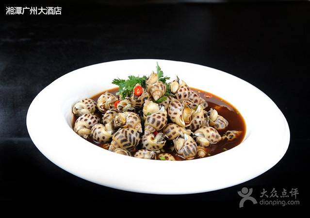 广州大酒店(东方名苑店)