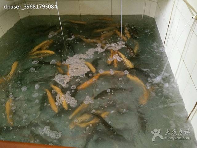 七彩之南虹鳟鱼庄