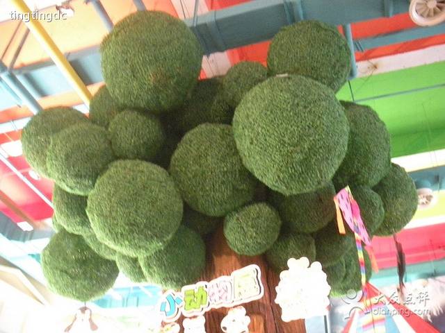 新天地购物公园