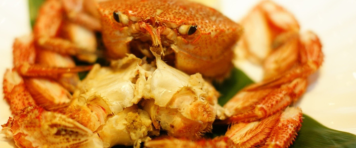 箱根-螃蟹-去哪儿网旅游攻略