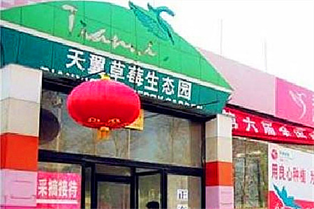 天翼草莓生态园