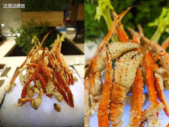 郑州希尔顿酒店·八元素全日制餐厅