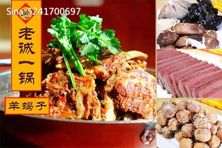 老诚一锅羊蝎子