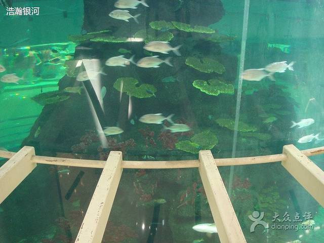 鸿通城购物中心