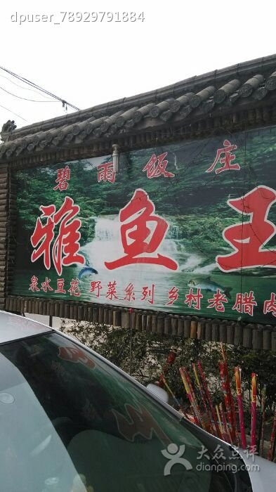 碧雨雅鱼王