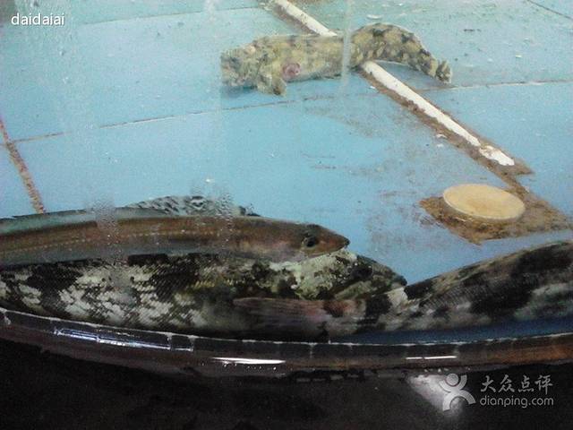 阿强饺子(珠江路店)