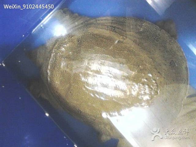 状元甲(南湖店)