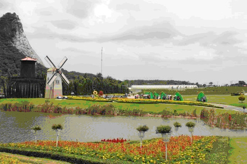 银湖葡萄酒庄园