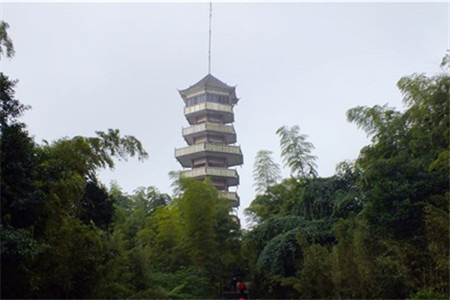 蜀南竹海观海楼