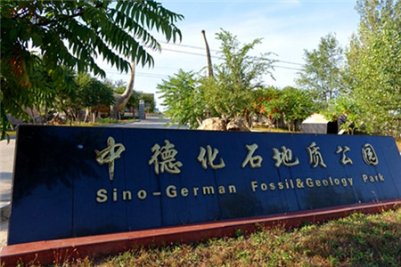 中德化石地质公园