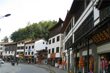 木鱼镇土特产一条街