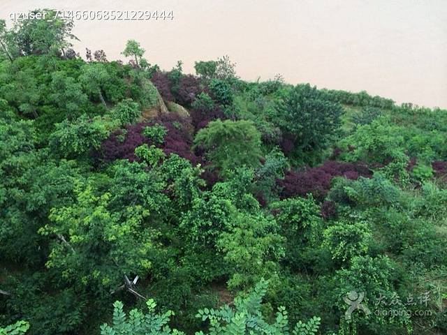 豪客来牛排(攀枝花东方巴黎店)