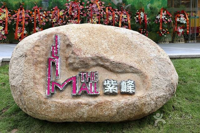 绿地中心紫峰购物广场