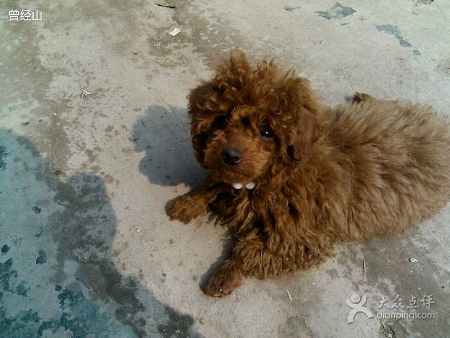 妖迪.嘟樂精品饰界