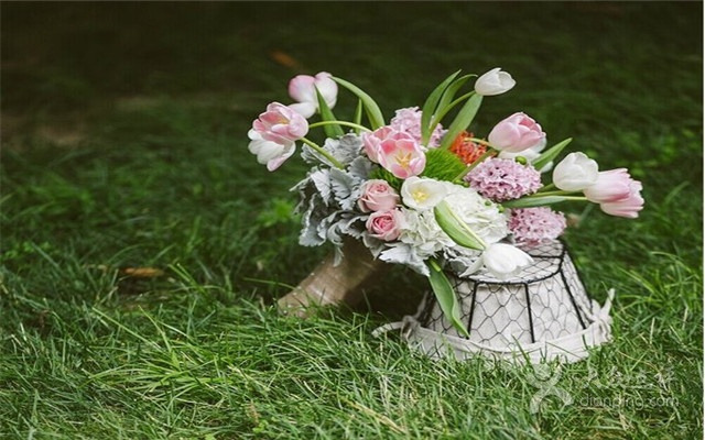 厦门五缘水乡酒店·湖畔全日餐厅