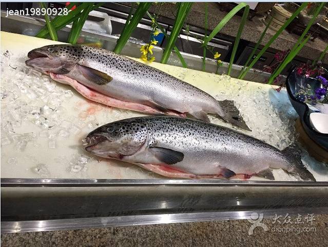 前湾海悦·首旅南苑酒店·谷雨-自助餐厅