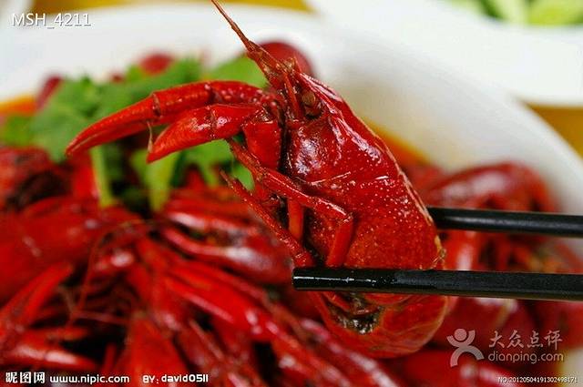 大伟龙虾(红星路老店)