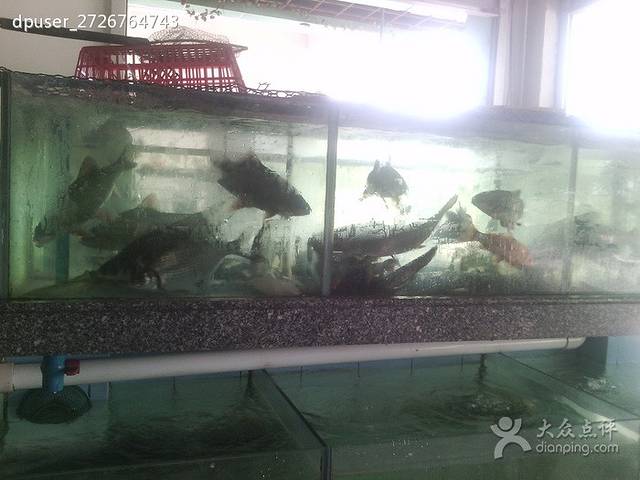 大家乐河海鲜餐厅