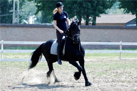 北京东方骑士乐园