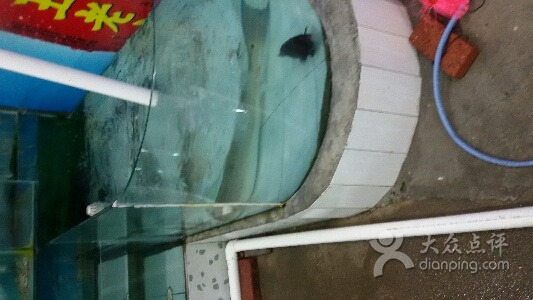 金龙湾海鲜饭店(金海湾大道店)