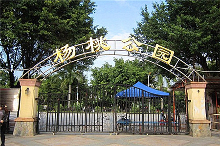 杨桃公园