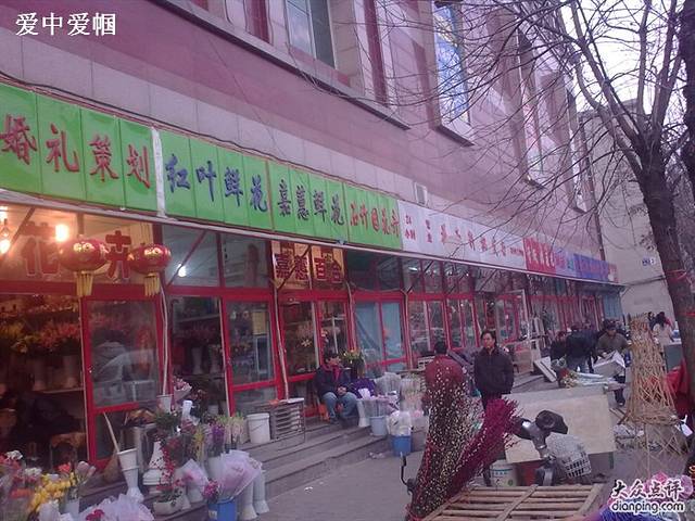 宝鸡东道花鸟鱼虫市场(吉利花园商场店)