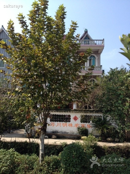 芹川明珠农家乐