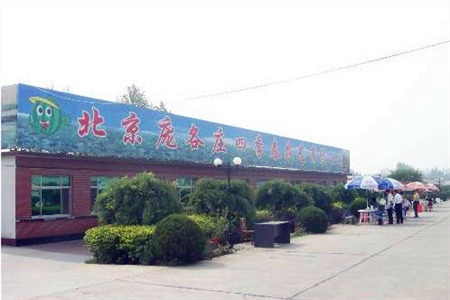 庞各庄四季春农艺园