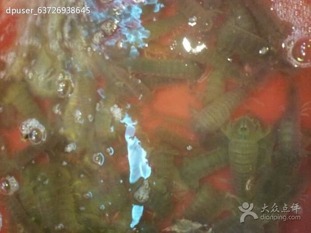 龙兴饭店(渔村大路店)