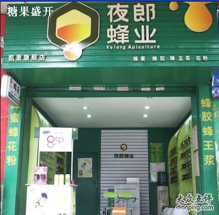 夜郎蜂业
