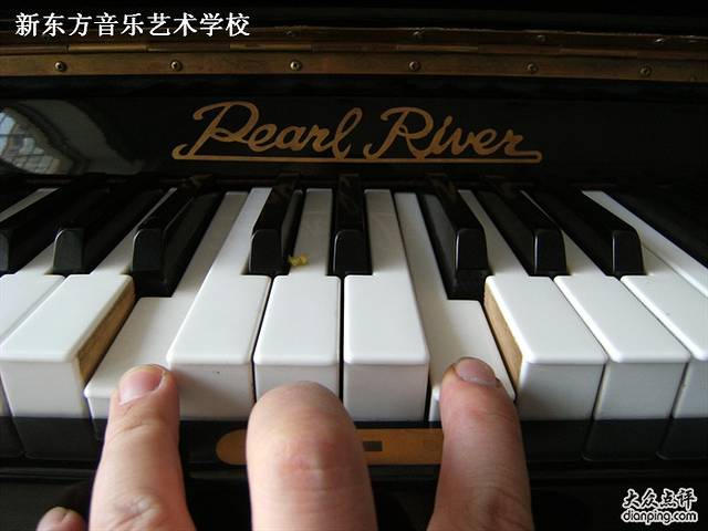 新东方音乐艺术培训学校