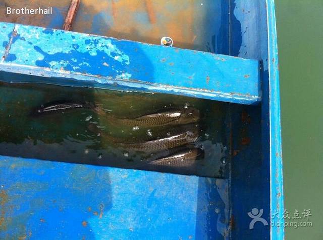 灜湖江边农家乐