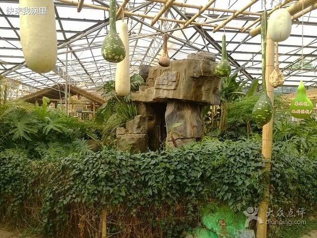 一丘田金殿瓜果庄园