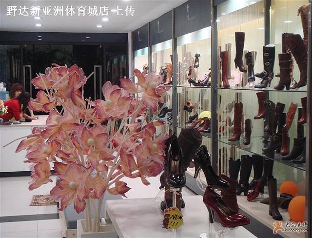 野达鞋业(新天地店)