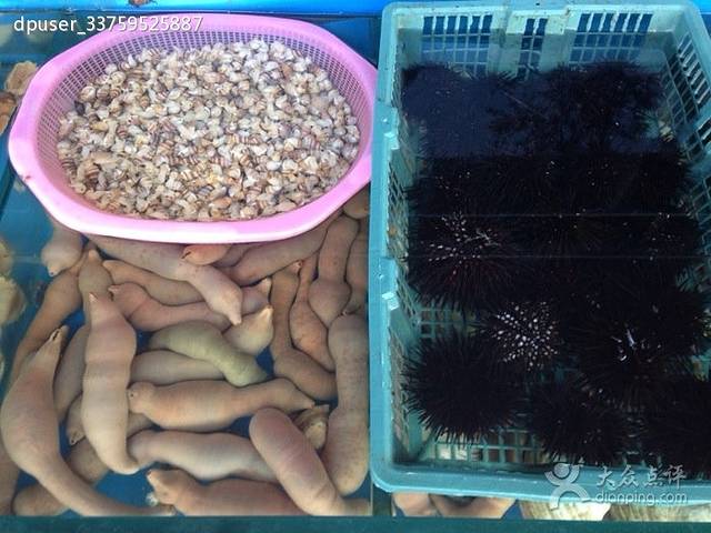 金泽园海鲜农家菜(沈阳路店)