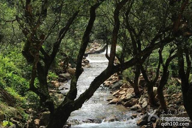 千岛龙庭开元大酒店·中餐厅