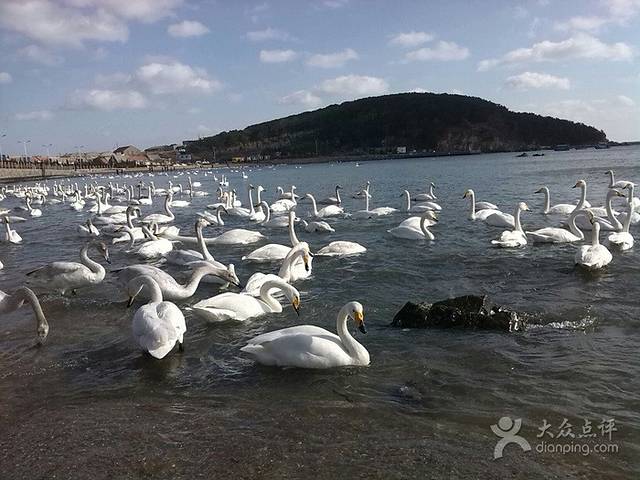 北方饺子王(长峰店)