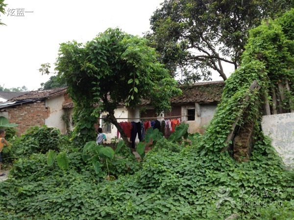 广百百货(从化店)