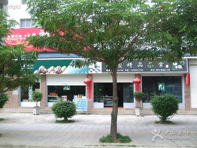 春林精品茶叶店