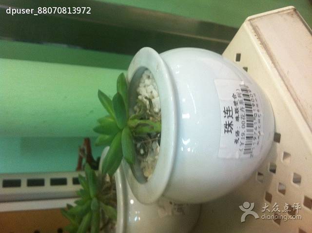 沃尔玛购物广场(万华广场店)