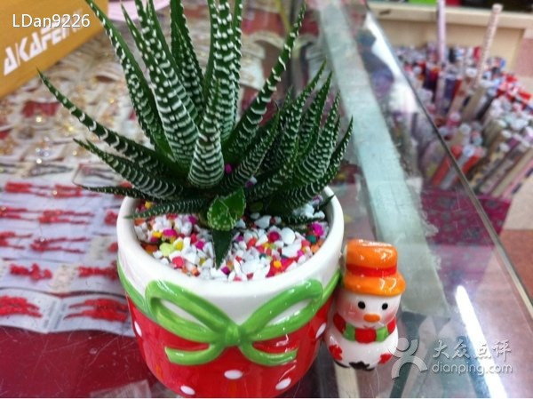 永相逢(丰泽店)