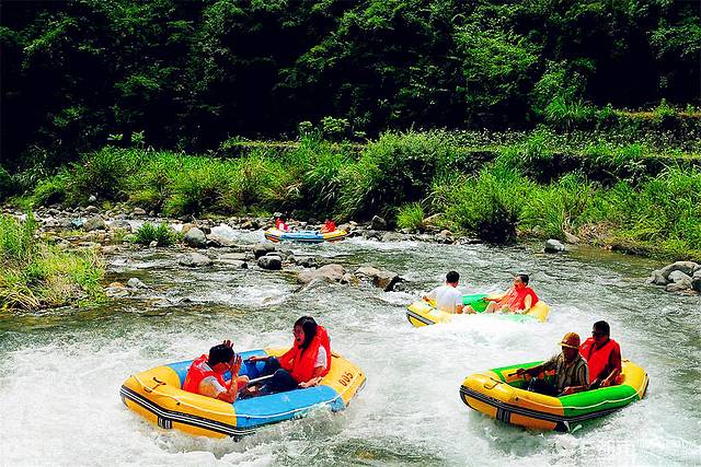 浙江漂流排名_浙江毒蛇排名图片