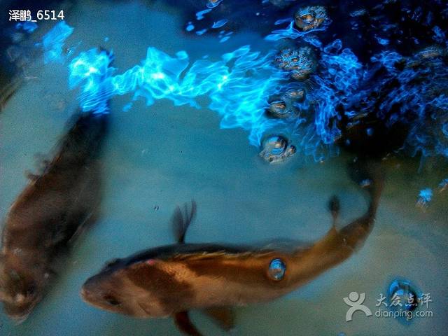 展鹏海鲜大排档