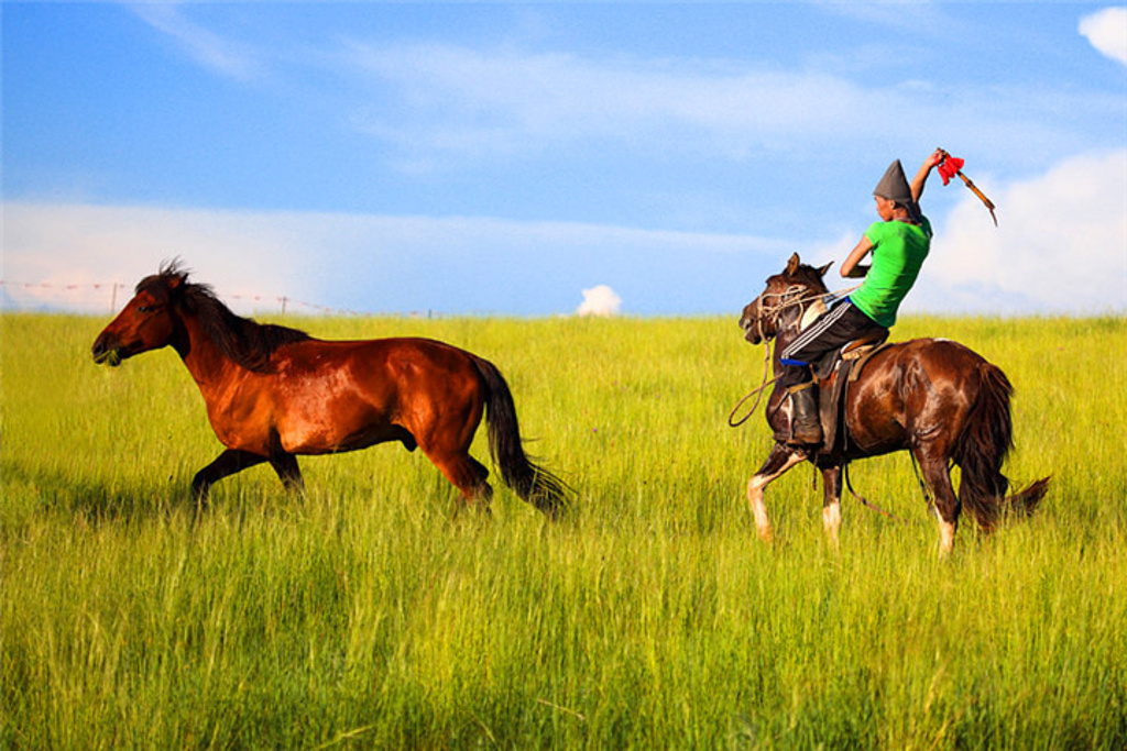 黑山头边城骑马场