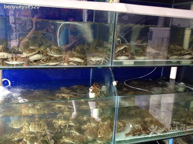 南越海鲜大排档(金堂店)