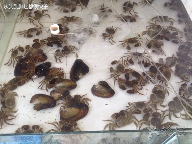 阳澄湖天旺蟹庄