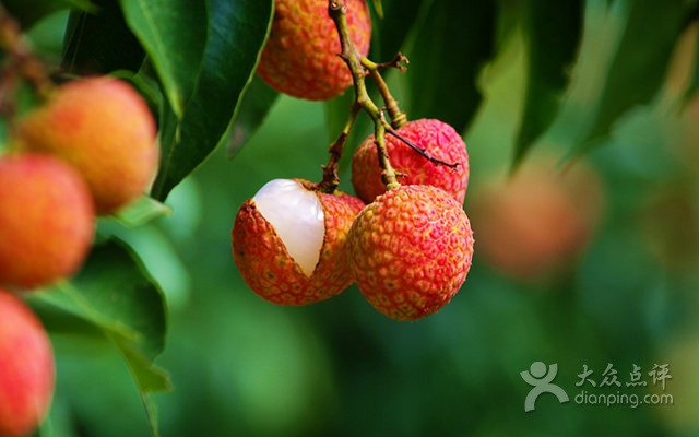 三正半山酒店(东莞桥头店)·餐厅